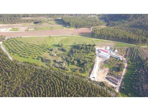 Rio Maior Grundstücke, Rio Maior Grundstück kaufen