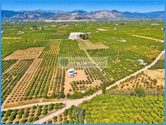 8b3e610855a14b84b2184a61bc9f905a-original