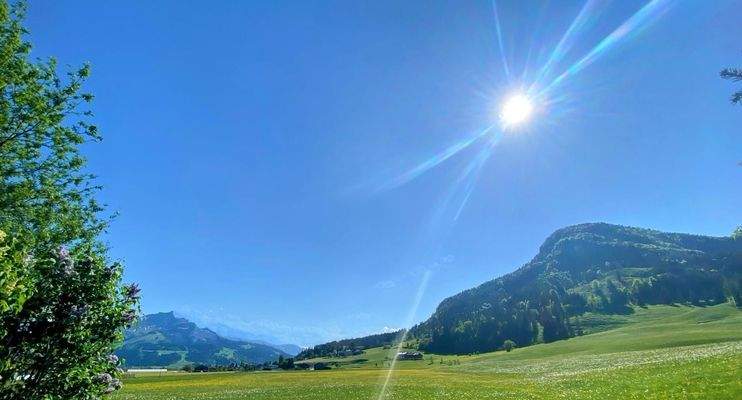 Ausblick auf Freiland und auf den Scheuerkopf (Vulgo: Schatterberg)