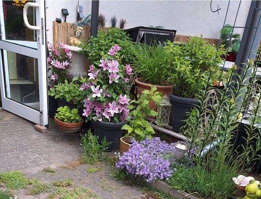 Hof  Sommerblumen an der Sitzecke hinten