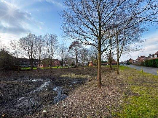 Renaturiertes Regenwasserrückhaltebecken