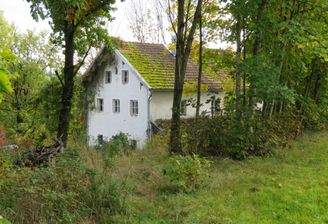 eingewachsenes Anwesen 