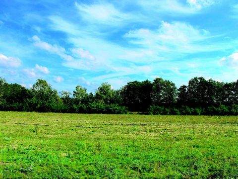 St. Georgen im Schwarzwald Bauernhöfe, Landwirtschaft, St. Georgen im Schwarzwald Forstwirtschaft