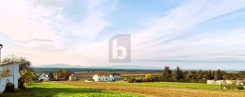 Hornstein Grundstücke, Hornstein Grundstück kaufen