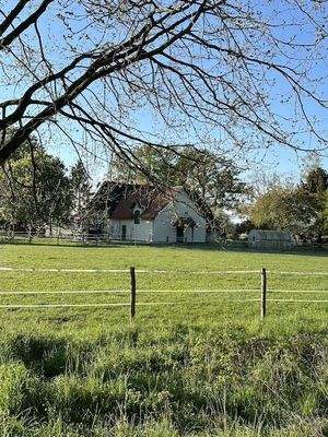 Blick von einer der Weiden