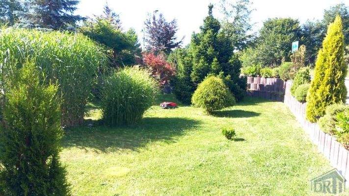 Vorgarten zur Straße