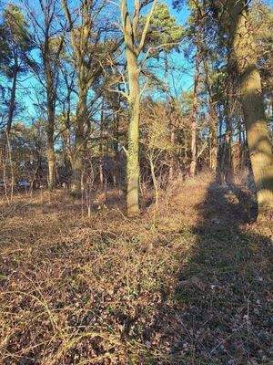 Blick auf das Wohngrundstück