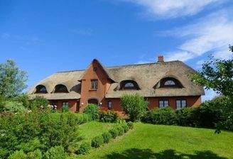 Hollandwarft in der Sonne