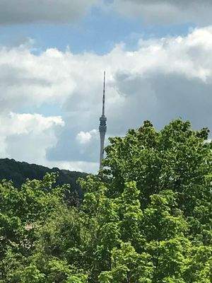 Blick zum Fernsehturm