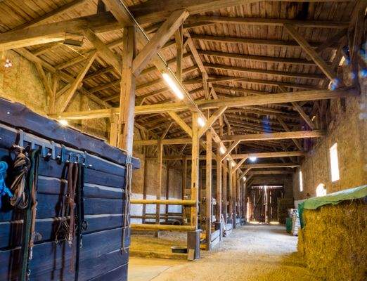 Perdestall Innenansicht P1238138.jpg