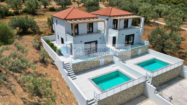 127427191e054be39f0d4ef1b9861318-original