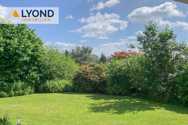 Aussicht Garten Sommer