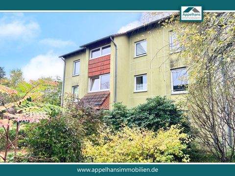 Bad Iburg Wohnungen, Bad Iburg Wohnung kaufen