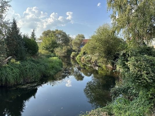 Blick vom Grundstück