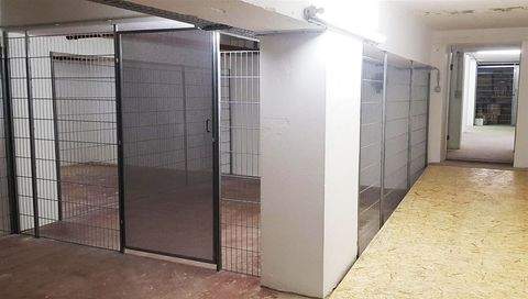 Dresden Halle, Dresden Hallenfläche