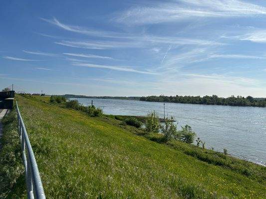 Ausblick auf den Rhein
