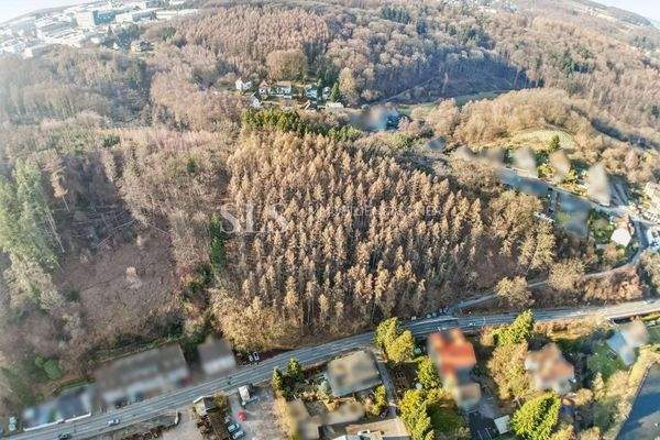 Luftansicht Wald