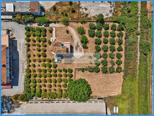 533050b616a84e41bbcc09be08ef99f6-original