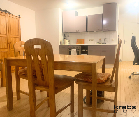 Wohn-/Ess-/Schlafbereich