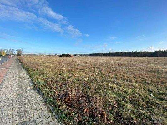 Blick auf das Grundstück