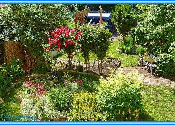 Garten hinter dem Haus