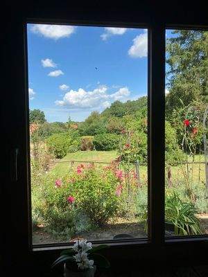 Blick aus dem Küchenfenster