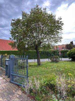 Grundstück & Toreinfahrt