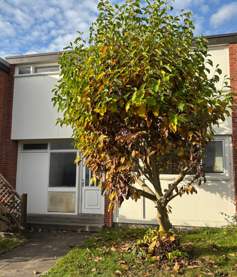 Blick auf den Eingang