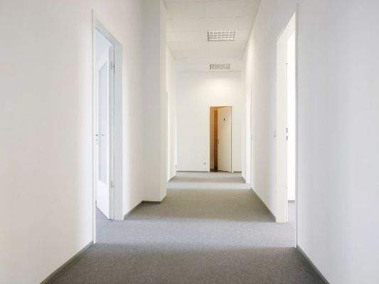 Komplettes Büro bestehend aus 8 Zimmern