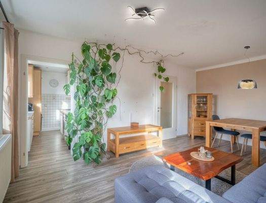 HP2-3-Zimmer-Wohnung-Maxglan-Wohnzimmer