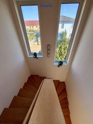 Fenster 2 meter und 2,50 meter im Stiegenhaus