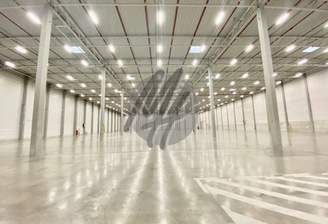 INFOS UNTER: 06171-586000