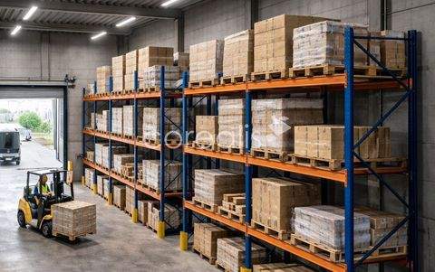 Korschenbroich Halle, Korschenbroich Hallenfläche