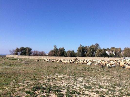 Torre Squillace – fertigzustellendes Wohnprojekt direkt am Meer