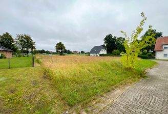 Ansicht von hinten links