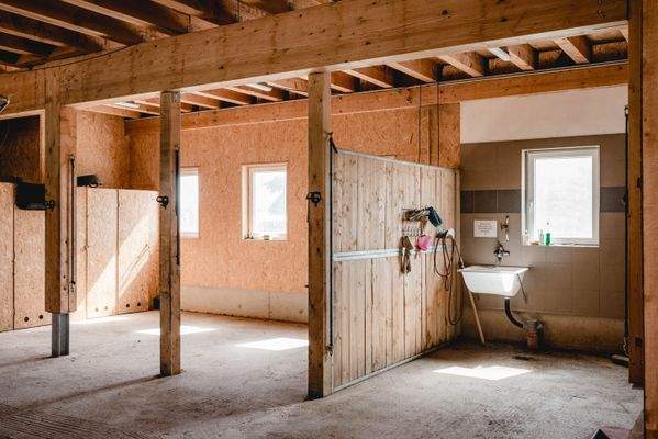 Putz- und Sattelbereich