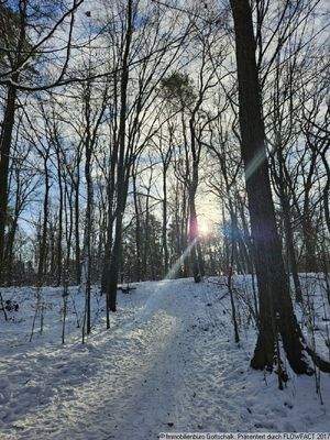 Umgebungs Impressionen