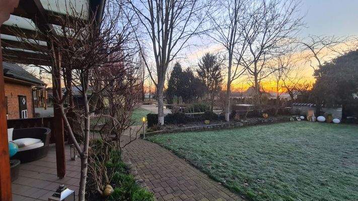 Sonnenaufgang Sommer 2023 mit Teichblick