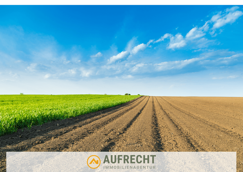 Jetzendorf Bauernhöfe, Landwirtschaft, Jetzendorf Forstwirtschaft