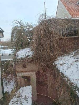 Aussicht auf den Hinterhof und die Ruine
