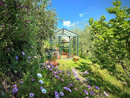 AP1010_07_TERRA ITALIA IMMOBILIEN_LIGURIEN_APRICAL