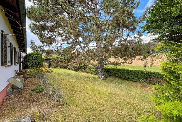 Rückwärtige Gartenansicht