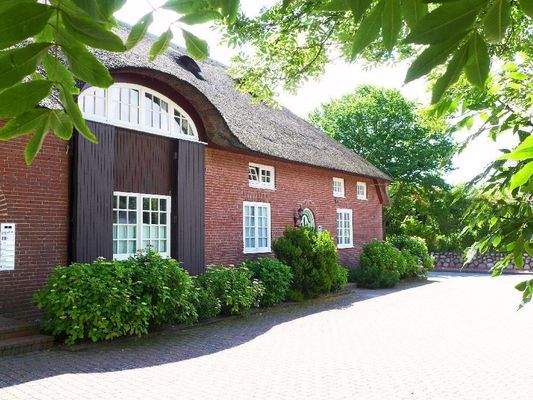 Traum unter Reet in Alt-W´ld