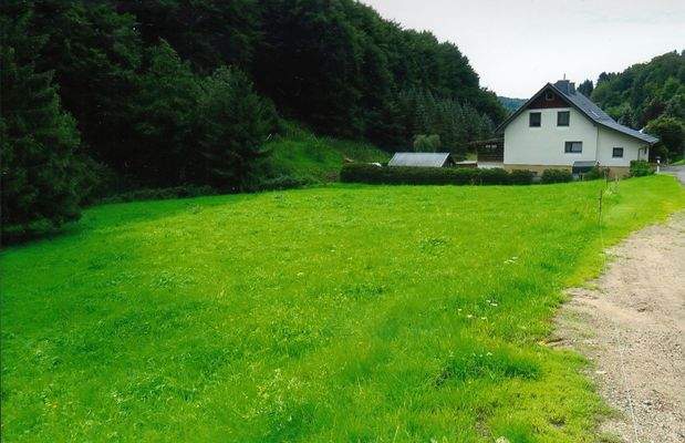 Waldwiesengrundstücke in der Talstraße