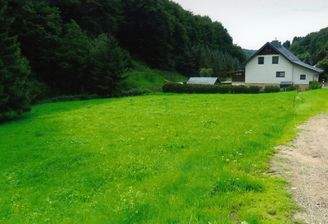 Waldwiesengrundstücke in der Talstraße