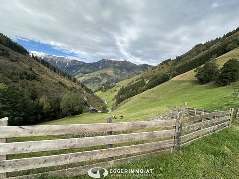 Rauris Bauernhöfe, Landwirtschaft, Rauris Forstwirtschaft