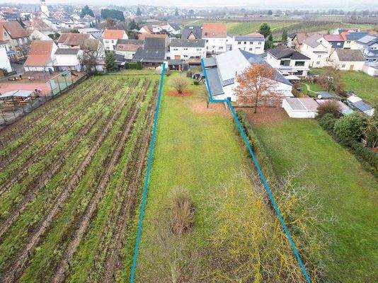 Blick vom Feld zum Haus