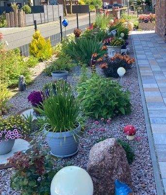 pflegeleichter Garten