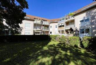 Hausansicht - Garten