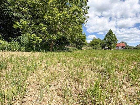 sattes Grün direkt hinter dem Haus